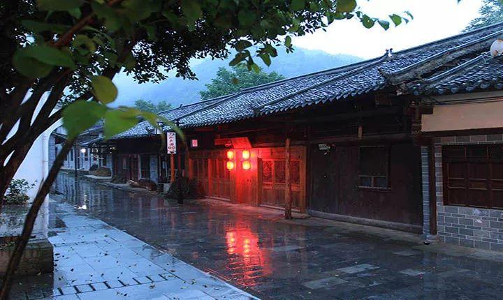 阴暗森林